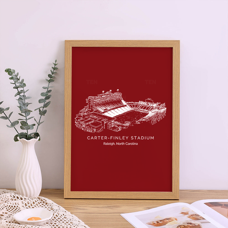 Carter–Finley Stadium  - NC State Wolfpack football, College Football Frame