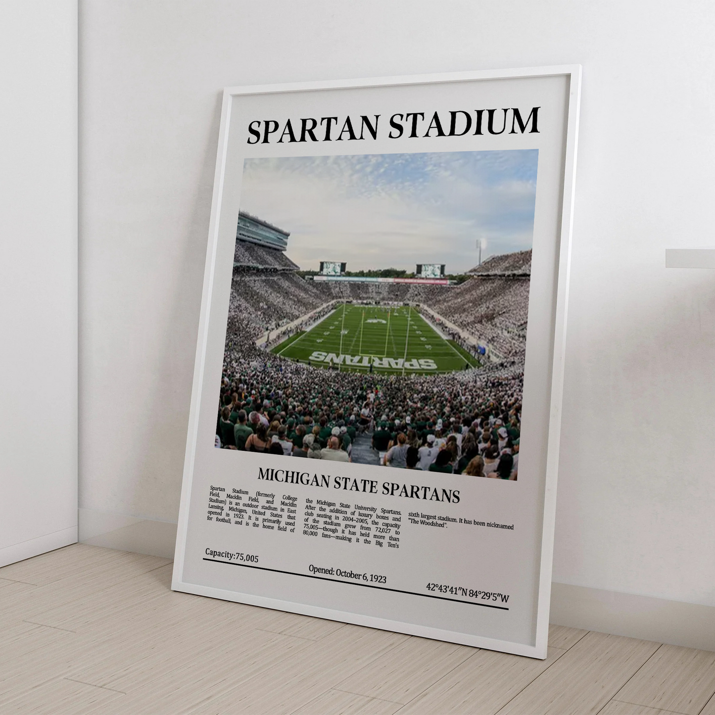 Spartan Stadium Digital Printable Frame/Poster