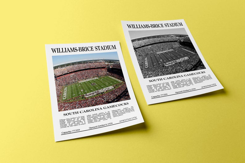 Williams-Brice Stadium Digital Printable Frame/Poster