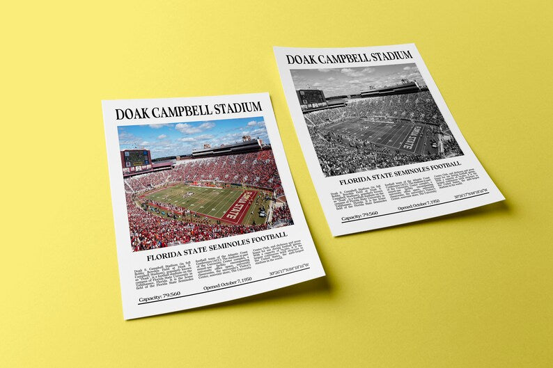 Doak Campbell Stadium Digital Printable Frame/Poster