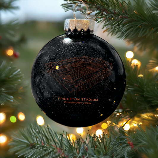 Personalized Princeton Stadium- Princeton Tigers football Christmas Glitter Ornament Ball, Xmas Football Stadium Ball