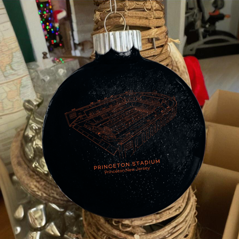 Personalized Princeton Stadium- Princeton Tigers football Christmas Glitter Ornament Ball, Xmas Football Stadium Ball