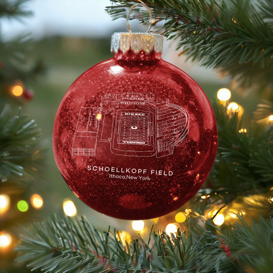 Personalized Schoellkopf Field-Cornell Big Red football Christmas Glitter Ornament Ball, Xmas Football Stadium Ball