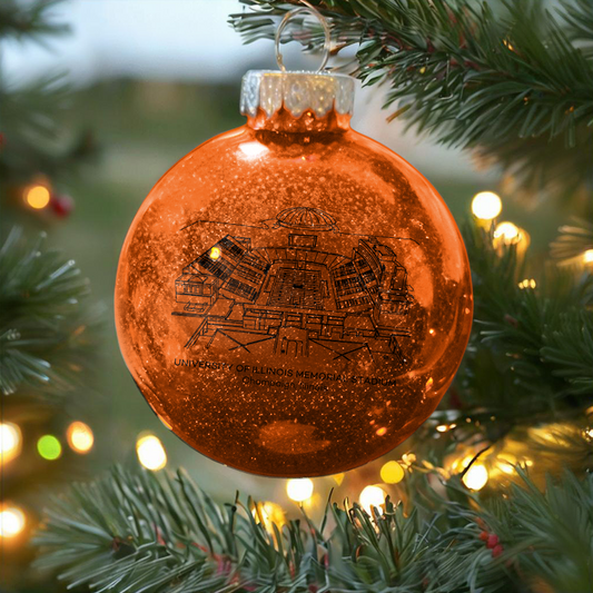 Personalized University of Illinois Memorial Stadium-Illinois Fighting Illini football Christmas Glitter Ornament Ball, Xmas Football Stadium Ball