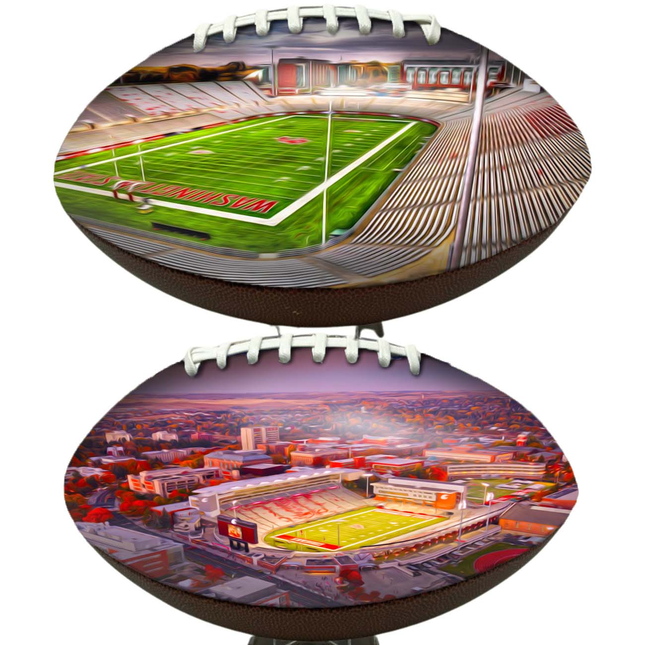 Martin Stadium Football University Series