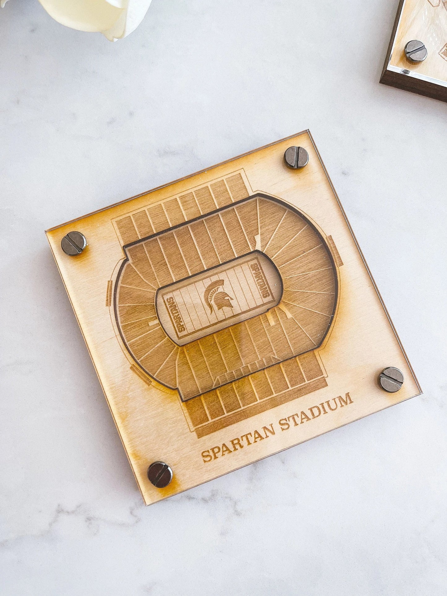 Spartan Stadium Layered Coaster, 3D Wood Coaster, Michigan State University