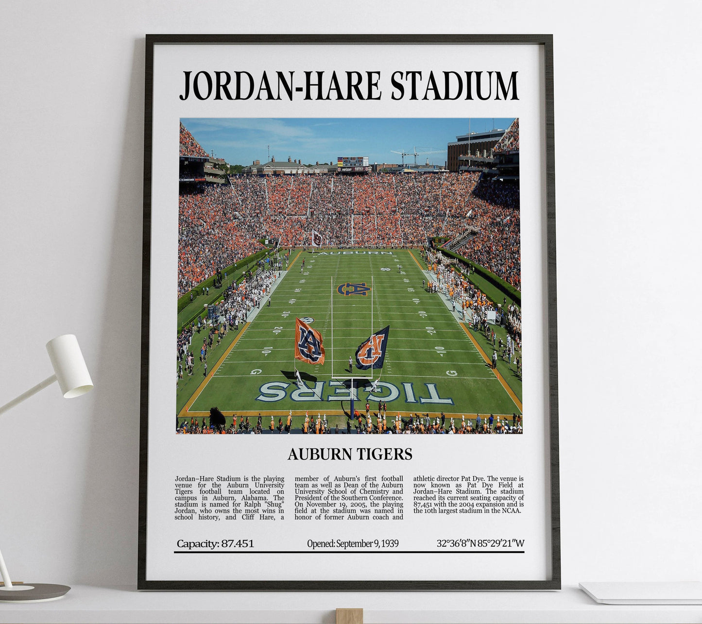 Jordan-Hare Stadium Digital Printable Frame/Poster