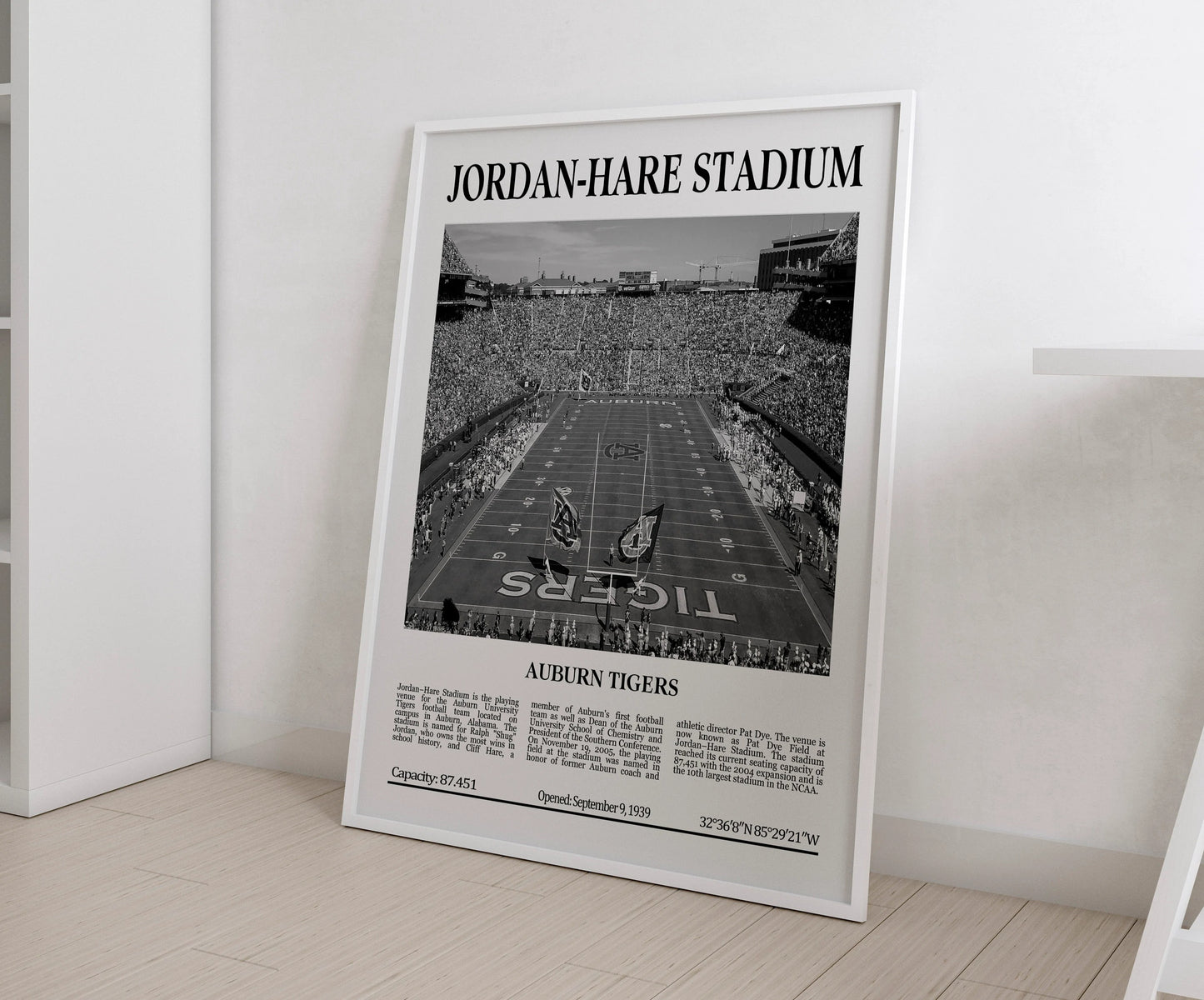 Jordan-Hare Stadium Digital Printable Frame/Poster