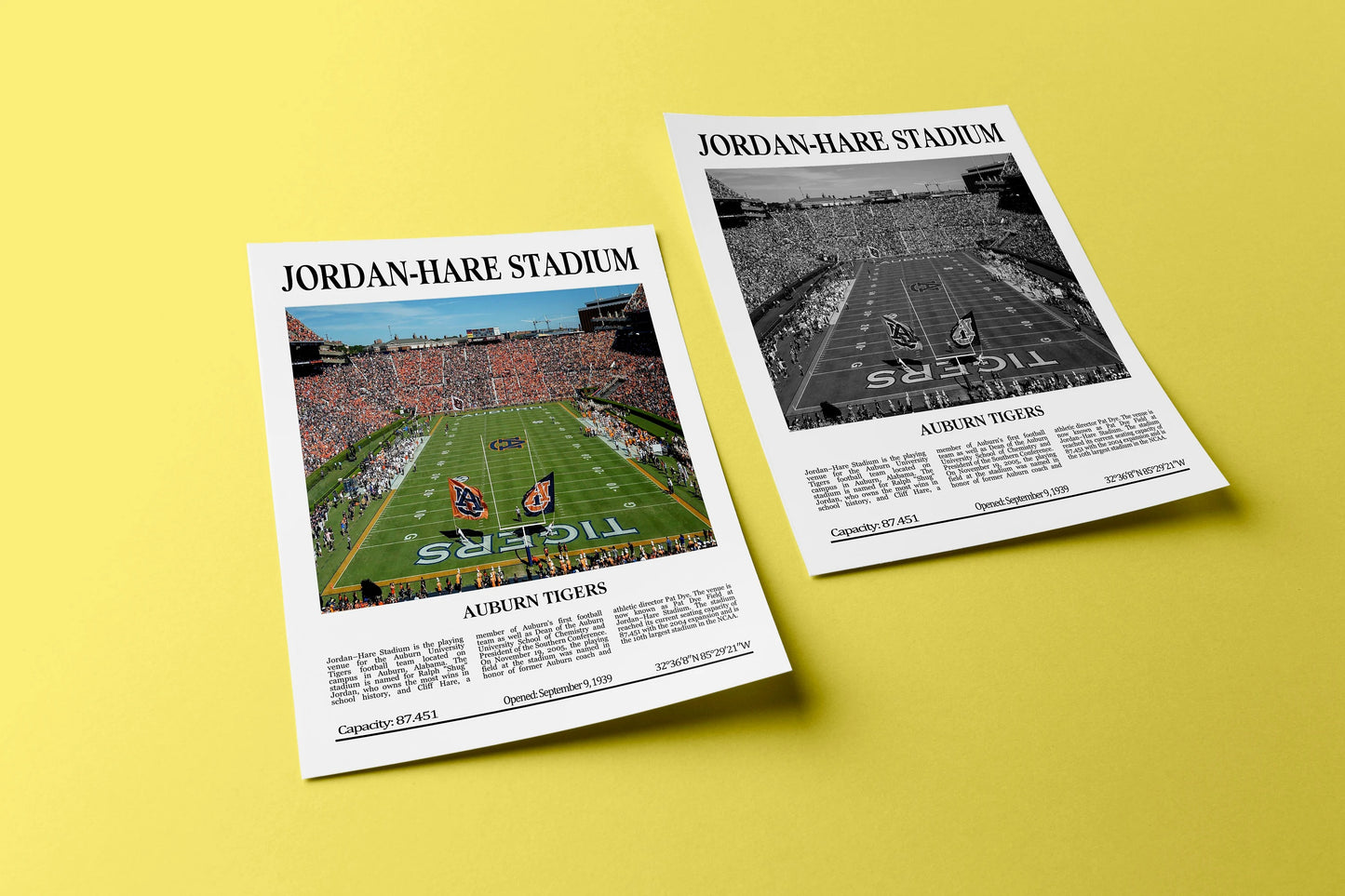 Jordan-Hare Stadium Digital Printable Frame/Poster