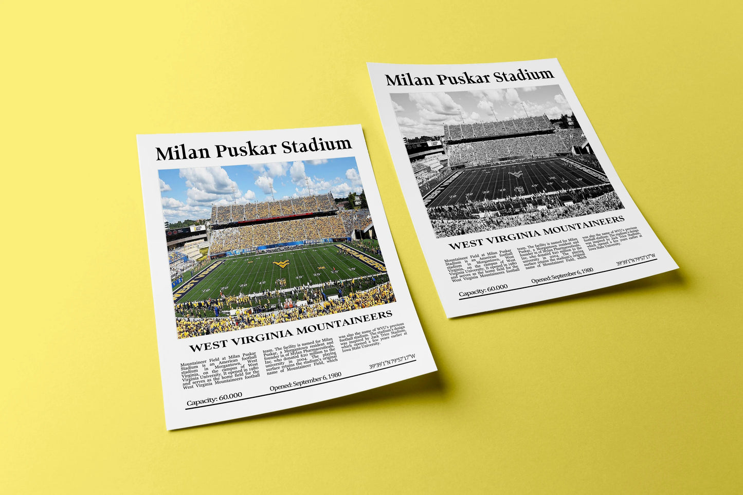 Milan Puskar Stadium Stadium Digital Printable Frame/Poster